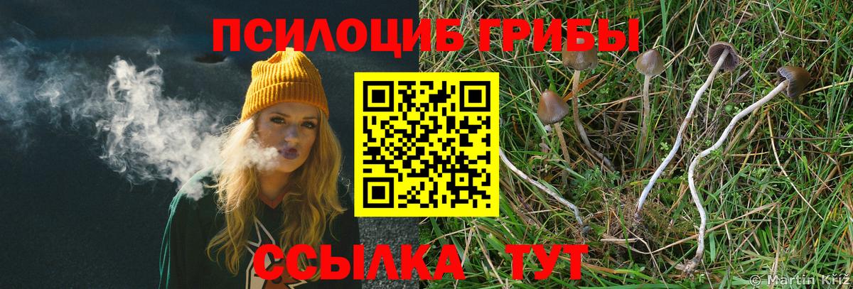 Галлюциногенные грибы мицелий  Вход с VPN  Псилоцибиновые грибы мухоморы  Ростов-на-Дону 
